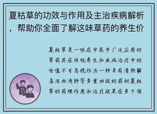 夏枯草的功效与作用及主治疾病解析，帮助你全面了解这味草药的养生价值